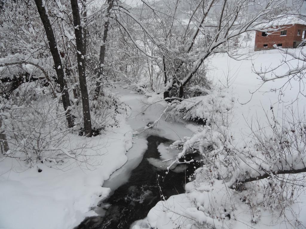 Stara Planina Vila Vesela Kuca Jalovik Izvor Exterior photo